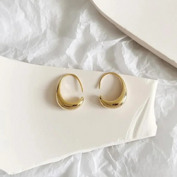 Elegantes Aretes
